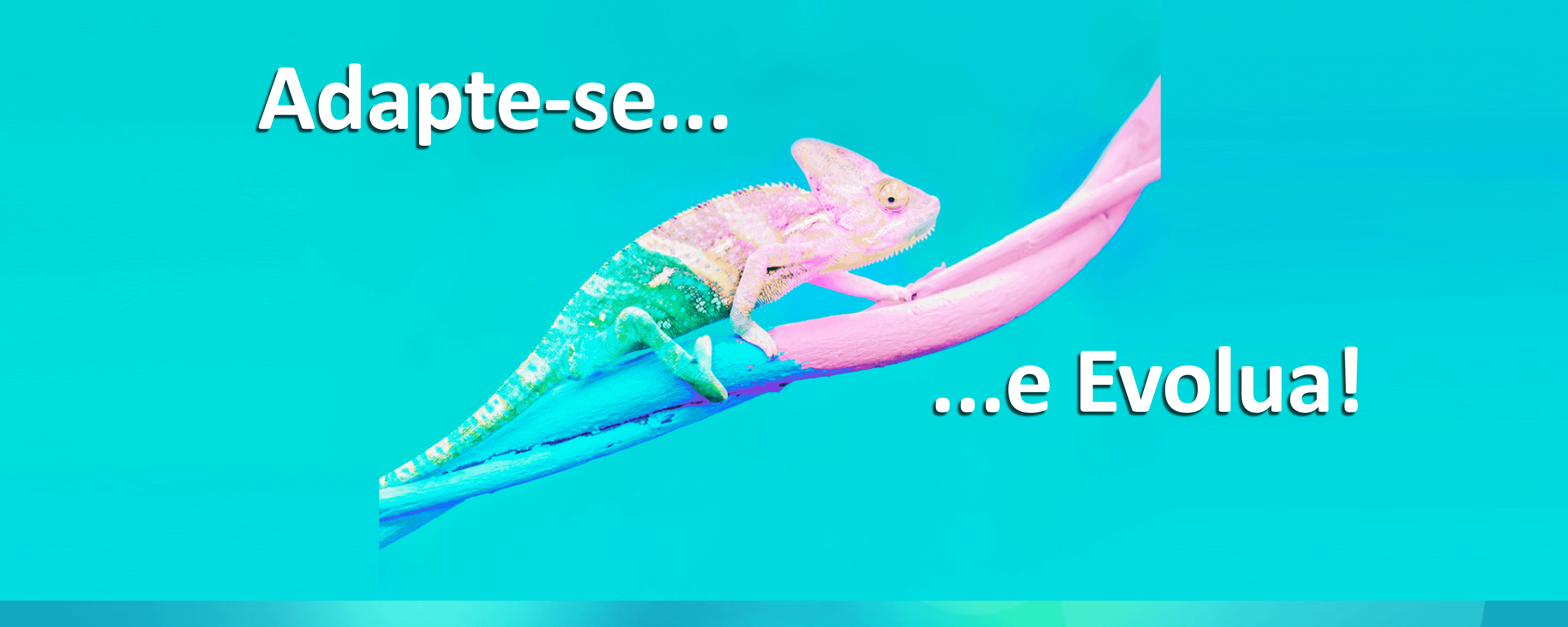 133909619690221782.png